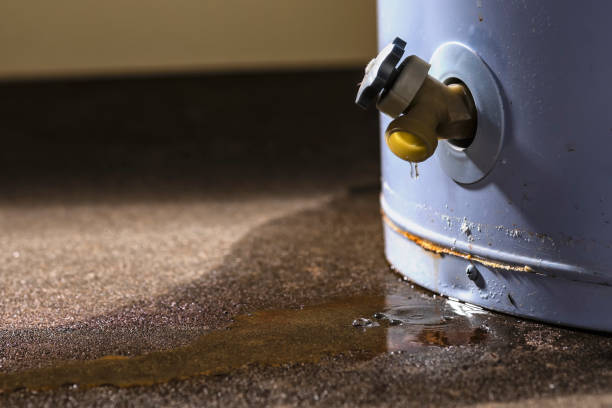 Best Local water damage restoration  in Cordova, AL