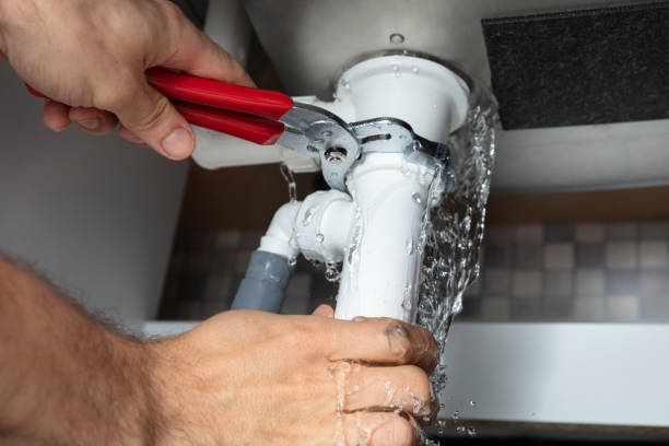 Best Water damage cleanup near me  in Cordova, AL
