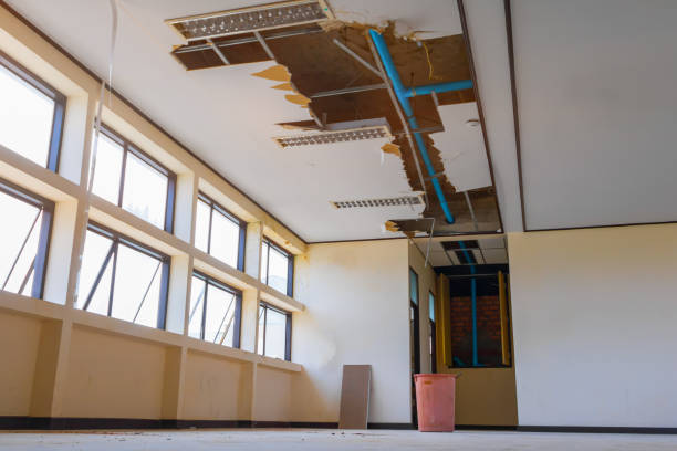 Best Basement water damage restoration  in Cordova, AL
