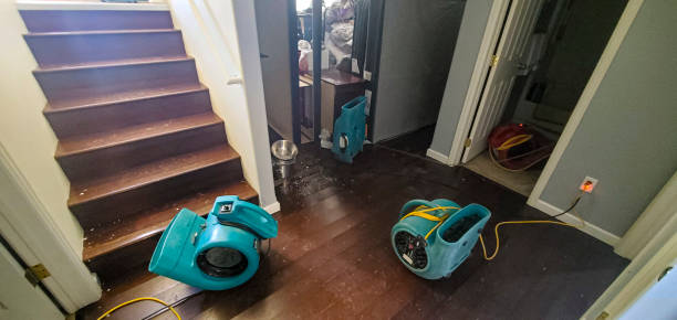 Best Water damage restoration process  in Cordova, AL