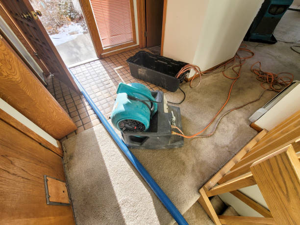 Best Water damage restoration insurance claims  in Cordova, AL