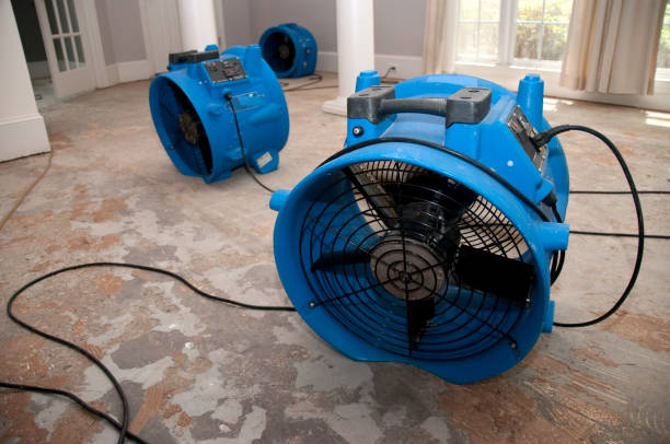 Best Ceiling water damage repair  in Cordova, AL