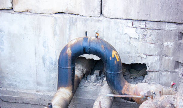 Best Water damage restoration near me  in Cordova, AL