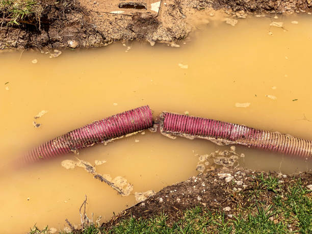 Best Carpet water damage restoration  in Cordova, AL